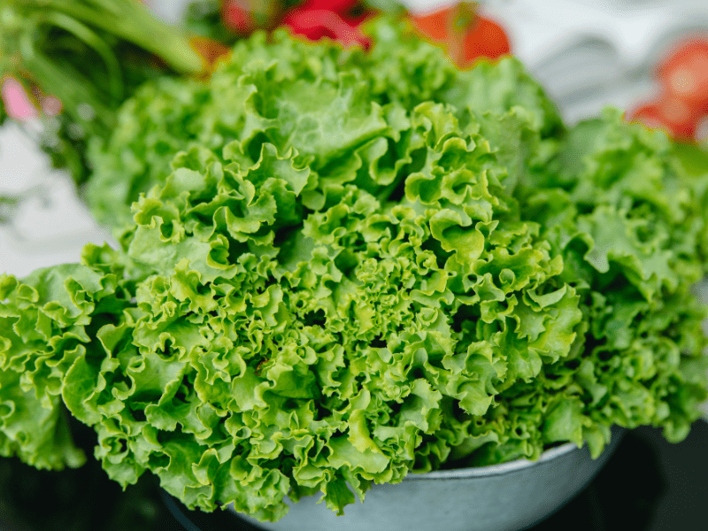 Leafy Greens: Nutrient-Rich Foods 